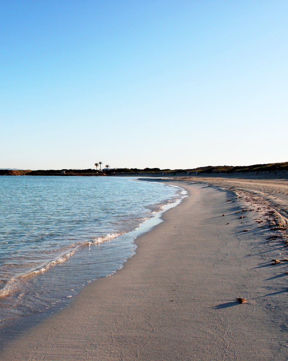 visitformentera's tweet photo. Si pudieras elegir un rincón de Formentera en el que simplemente ESTAR ahora mismo ¿cuál sería? 💙
📍Es Copinar
📍El Mirador
📍Ses Illetes
#visitformentera #magicplaces #formentera #formenterateespera #baleares #pitiusas #turismosostenible #formenteratodoelaño #azulformentera https://t.co/7DdyGCXGJd