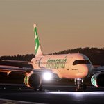 Photo by TVFvirtual (@Transavia_va)