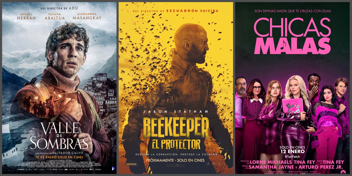 Estrenos 12/01/24
N° cines 

#ValleDeSombras 321
#Beekeeper 314
#ChicasMslas 275
#PerrectDays 99
#ElRapto 74
#Honeymoon 57
#LaMemoriaInfinita 49
#ThaboYElCasoDelRinoceronte 41
#PalacioEstilistas 30

Datos vía Comscore