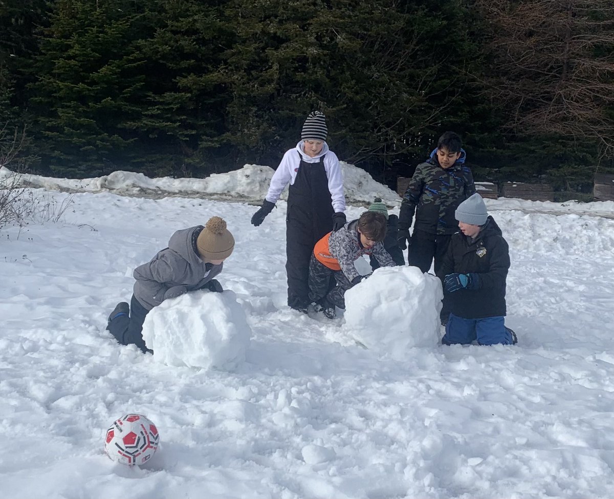 Alison Moore tweet media