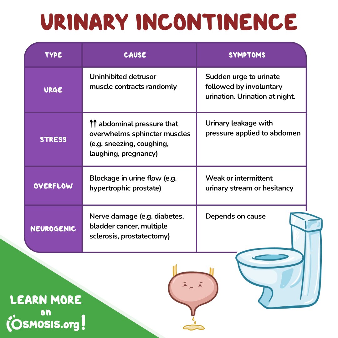 Osmosis from Elsevier on X: Today's #ClinicalPearl is about different  types of urinary incontinence, a condition in which the process of urination  (also called micturition) happens involuntarily. Learn more