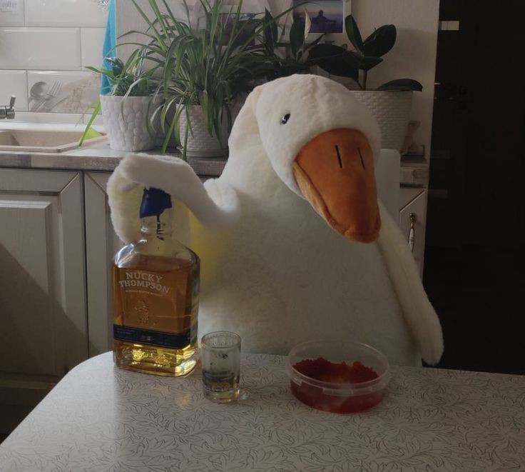 MingFan 🦆(slow) tweet media