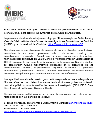 Buscamos candidatos JdC, Sara Borrel y/o Emergia Junta de Andalucía. Requisito CV competitivo en ciencias de la salud. La persona seleccionada trabajará en el grupo Fisiopatología del Daño Renal y Vascular del IMIBIC - Universidad de Córdoba
imibic.org/grupo/53