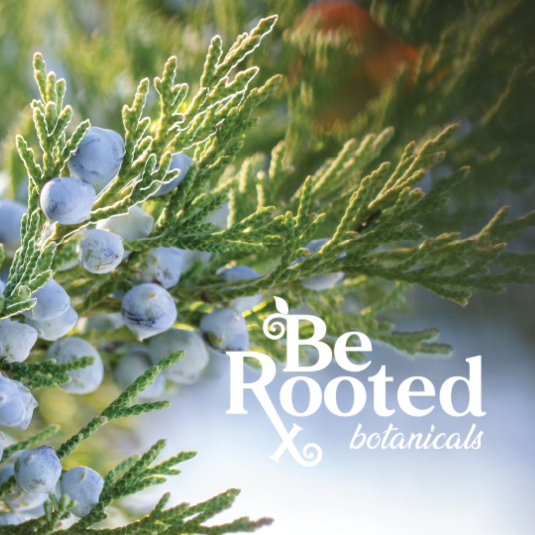 Be Rooted Botanicals (@Be_Rooted) / Posts / X