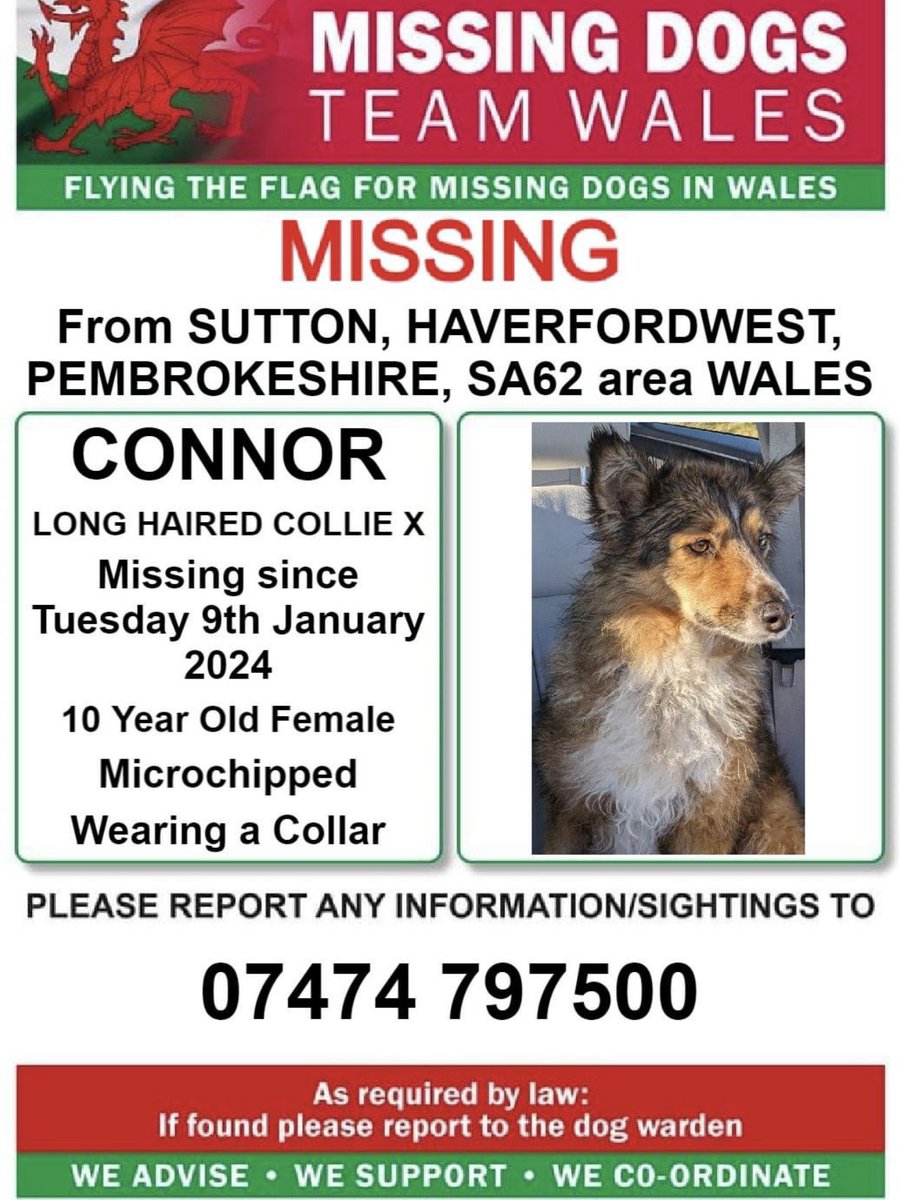 ❗❗CONNOR, 10 YEAR OLD❗  
MISSING From #SUTTON, #HAVERFORDWEST, #PEMBROKESHIRE, #SA62 area #WALES ❗
❗SINCE TUESDAY 9th JANUARY 2024.
❗PLEASE LOOK OUT FOR CONNOR AND CALL NUMBER ON POSTER WITH ANY SIGHTINGS/INFORMATION ❗