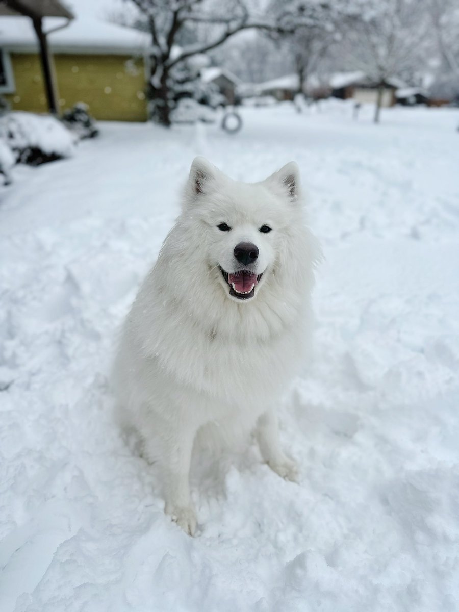 Happy Friday from Wisconsin!