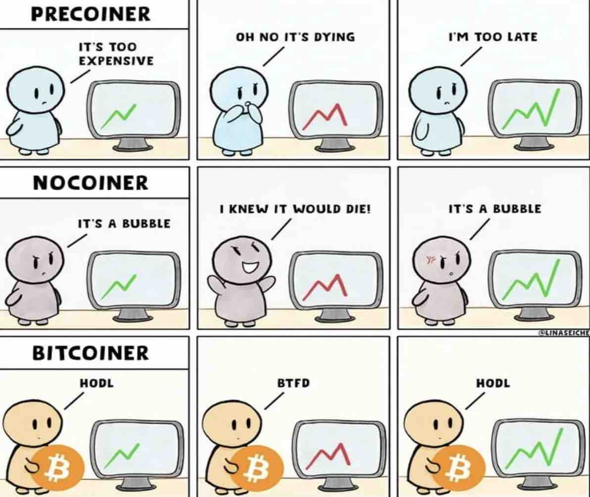 ASkutle's tweet photo. @nic_carter @getmash https://t.co/X2ipahN9tM