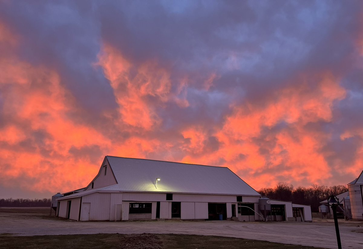 Laneview Farms tweet media