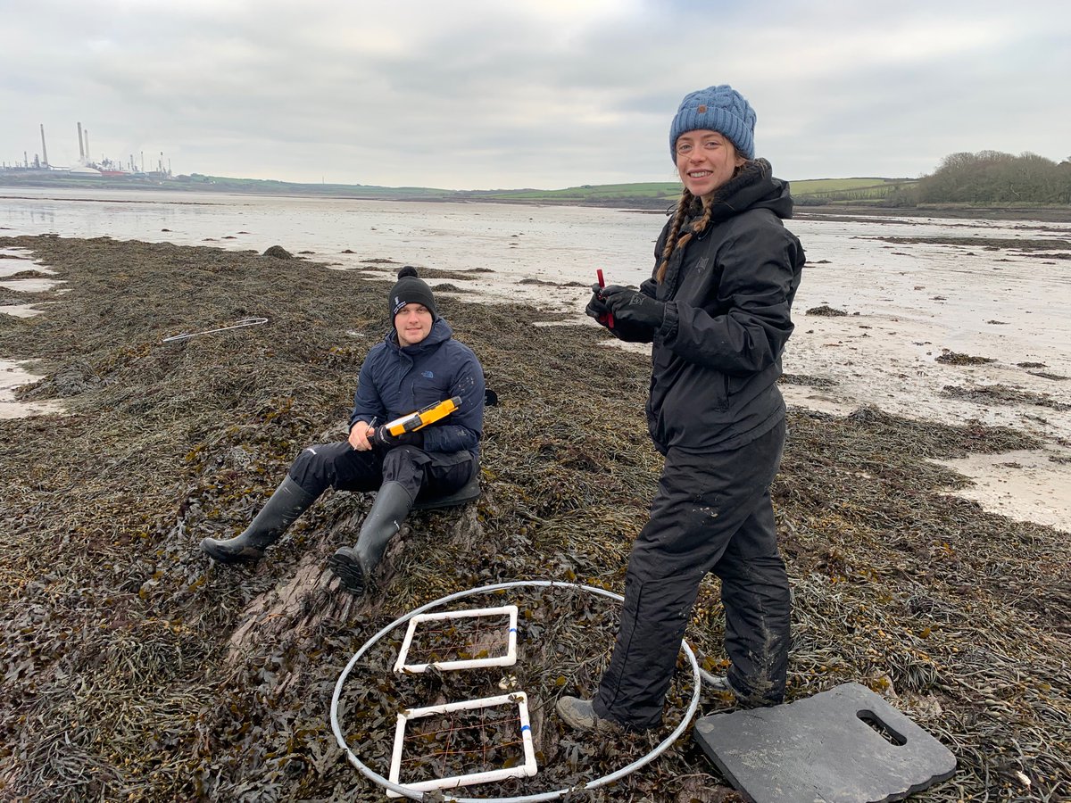 Completed winter Disturbance-Recovery monitoring at our first of four sites in South Wales today (East Angle) ! Cold and muddy work but great to be out on the shore 🌊🥶 @BefScale