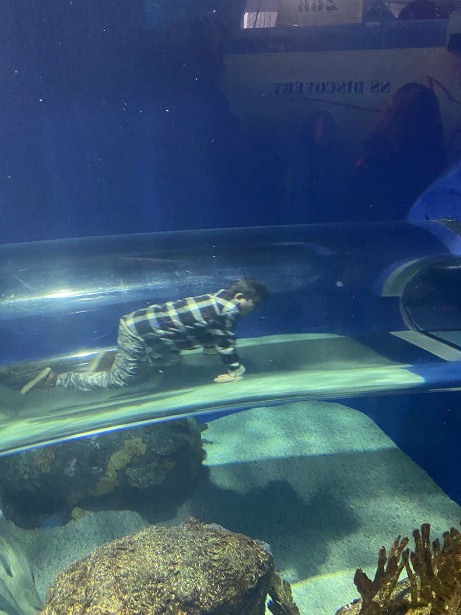 Mitch Ritter tweet media