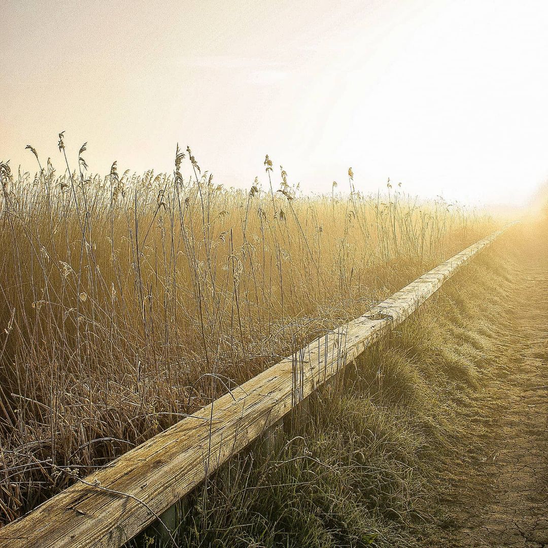 Broads National Park (@broadsnp) on Twitter photo A wonderful scene at <a href="/suffolkwildlife/">SuffolkWildlifeTrust</a> Carlton Marshes, transporting us to another world 🌎
Is a visit here on your list for 2024?
Have a great weekend everyone and enjoy your adventures, whatever you're up to!
📷 Shaun Coomer A wonderful scene at <a href="/suffolkwildlife/">SuffolkWildlifeTrust</a> Carlton Marshes, transporting us to another world 🌎
Is a visit here on your list for 2024?
Have a great weekend everyone and enjoy your adventures, whatever you're up to!
📷 Shaun Coomer