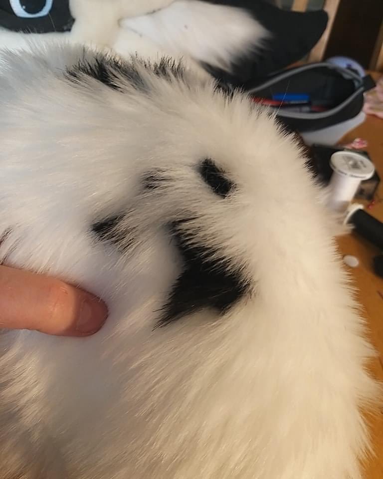 BlackSticky Official tweet media