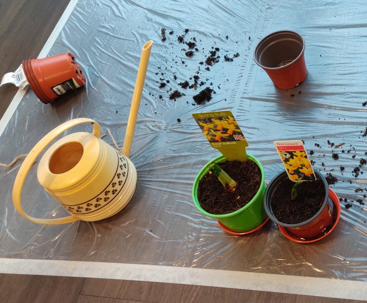 Planting Spring bulbs in #LibraryClub