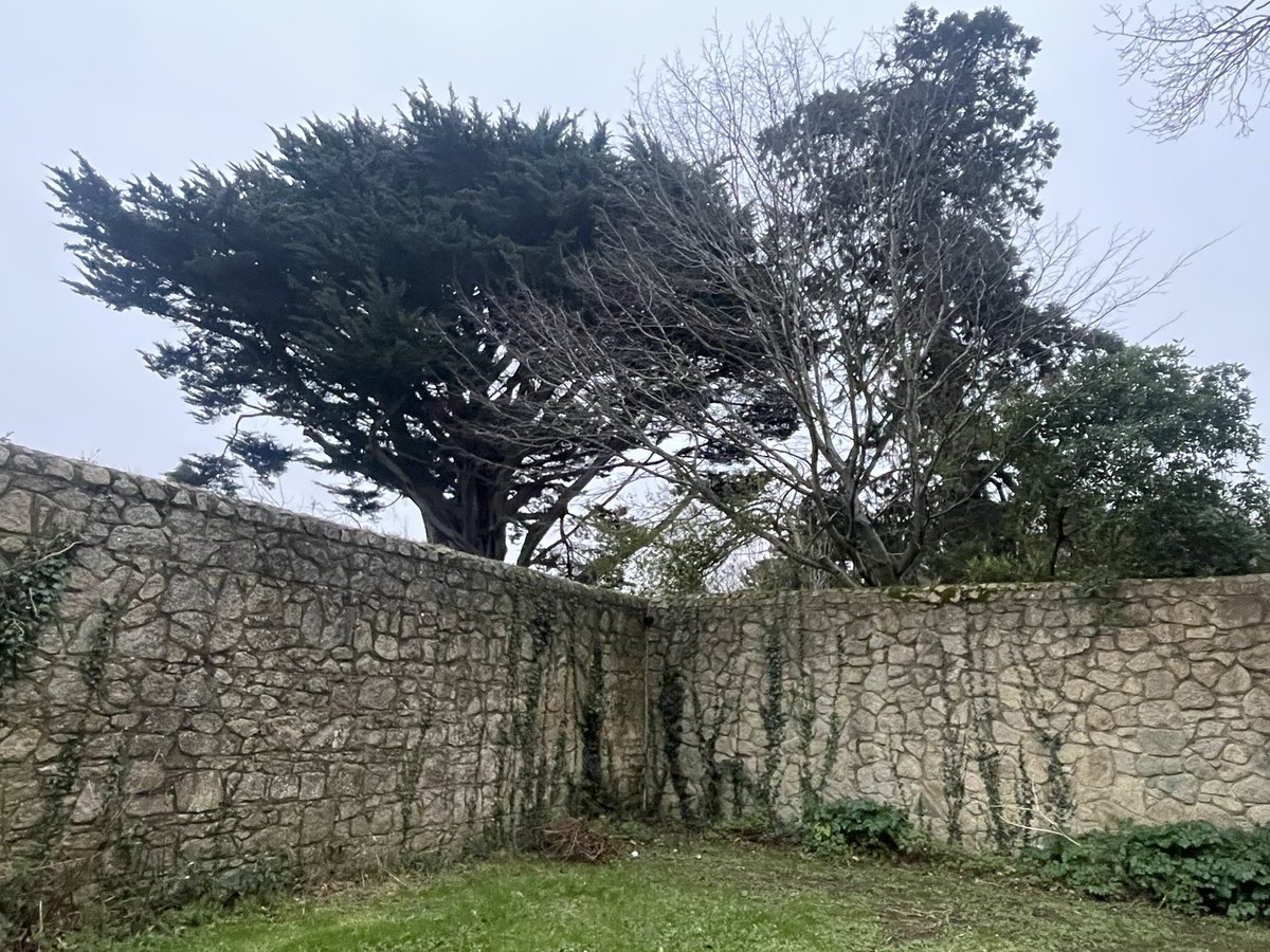 FlakyFashnista's tweet image. No blue skies today, but Day 12 done nonetheless! ☁️
#100daysofwalking