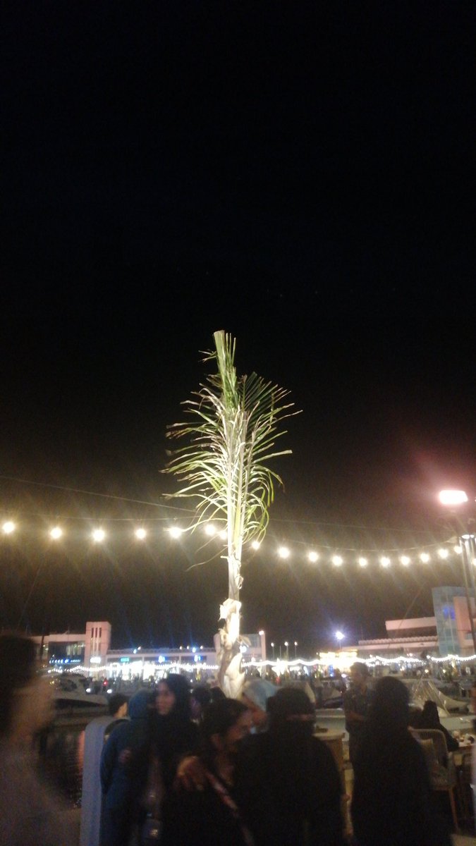 sujadbangash's tweet photo. Hi Guys great evening and Aslamoalymum.

#Jeddah_yatch https://t.co/20EyIpC74x