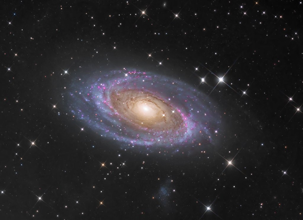 SaadInCyber's tweet photo. M81, also known as Bode's galaxy, is a stunning spiral galaxy in Ursa Major, displaying a bright nucleus, blue spiral arms, and pinkish star-forming regions, with errant dust lanes possibly influenced by a past encounter with M82.
Source:APOD NASA
#NASA #astronomy #Messier81 https://t.co/bXo8SVBkkT