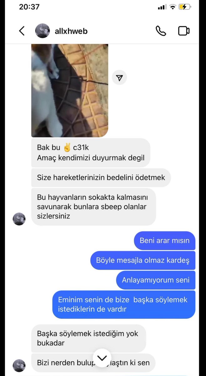 Dilaraerkmen_'s tweet photo. Hayvanlar işkenceyle öldürülüyor.

İnsanlar tehdit ediliyor.

Atatürk ve şehitlerimize hakaret var.

Herkes ölüm uykusunda.

Bu ülkenin üzerine atın toprağı kapatın,gitsin.

#c31ktutuklansın https://t.co/M8XhebZ7zu