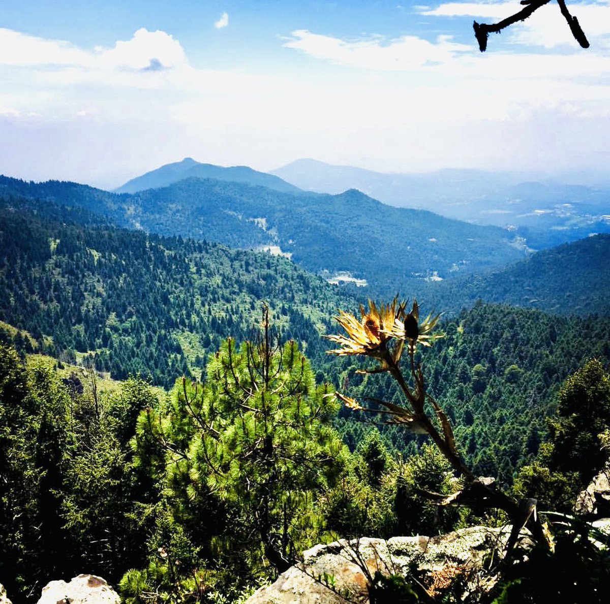 Octavius_MR2's tweet image. Este viaje aun no ha terminado y aunque algunos han llegado de la manera fácil, eso no nos impedirá llegar a nuevos horizontes. Juntos llegaremos lejos y unidos lo vamos a lograr. #ConTodoConTodasYTodos
#EquipoADMM #Jilotzingo