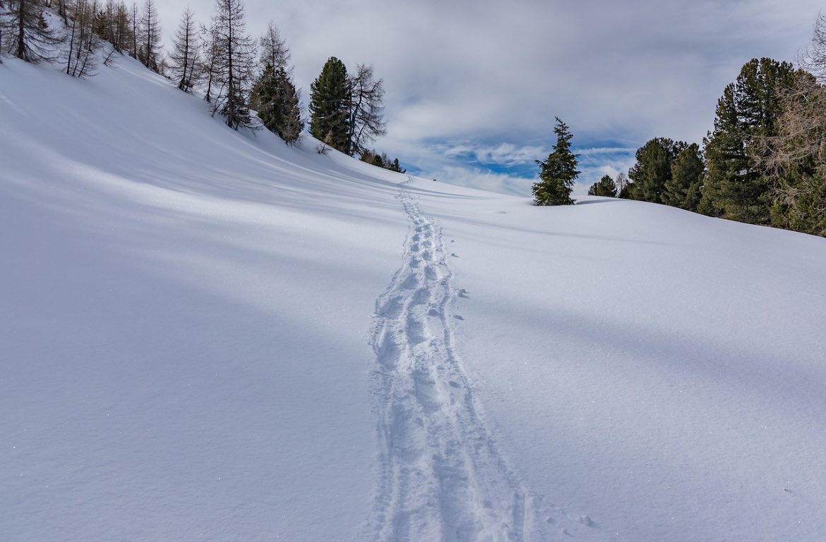 sandragabo's tweet image. Avui reflexionavem amb un equip directiu sobre: Qui defineix la linia d'escola? Quines estratègies fem servir per aconseguir que es compleixi/apliqui? 
#reflexions #equipdocent #equipdirectiu