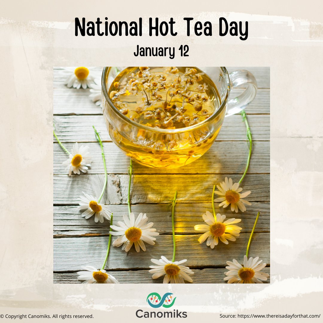 Today is National Hot Tea Day! The day was created to promote the consumption of tea for better health. 

Teas are known to offer various health benefits. Our botanical of the month, #Chamomile offers benefits, including promoting #relaxation, aiding digestion, and #antioxidants.