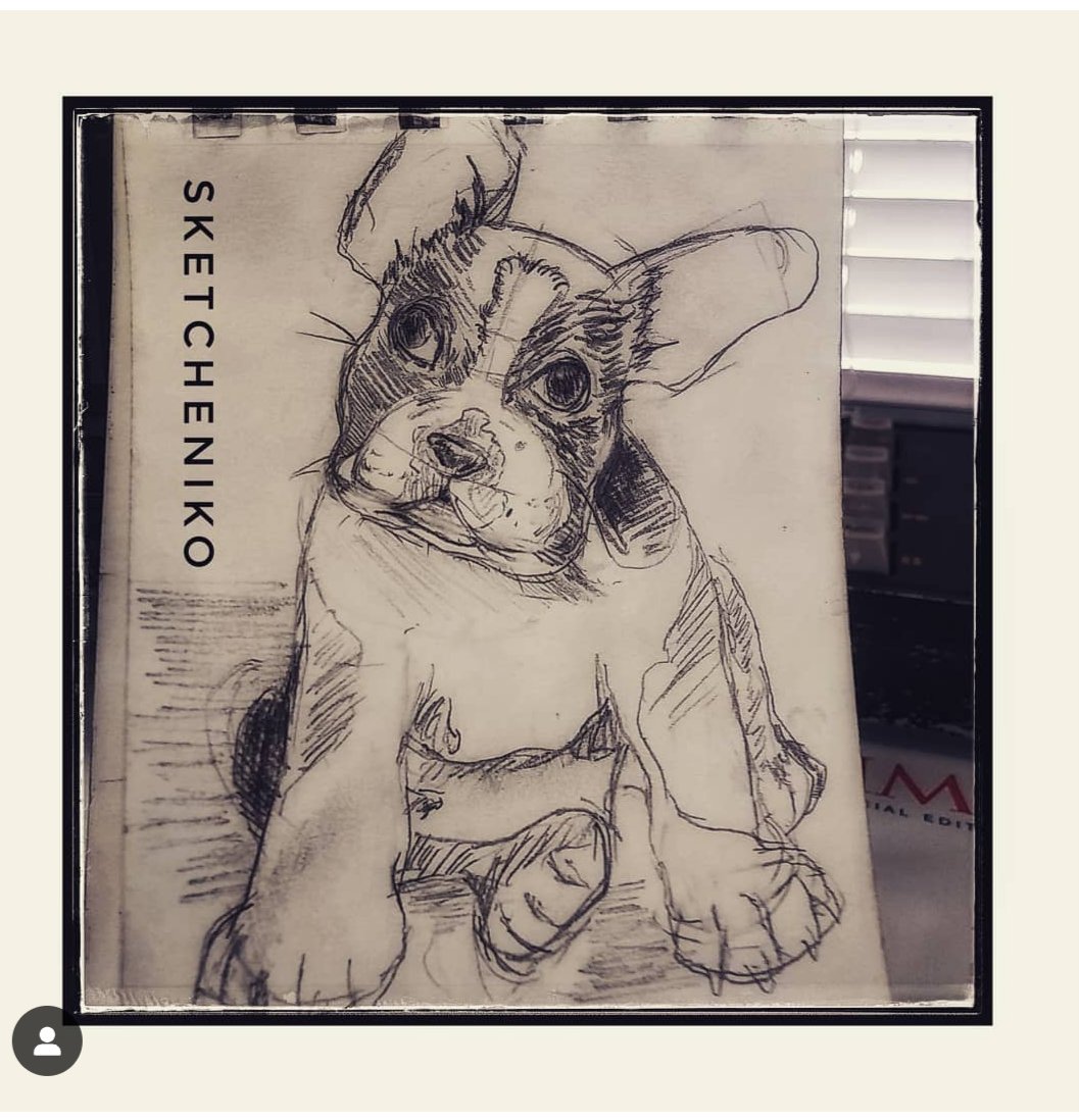 sketchen_nikos's tweet photo. Never thought drawing squares and circles consistently would eventually result in this
#small #puppylove #puppy #Animal #animaldraw #pencilart #pencilsketch https://t.co/fP9z3WhHJD