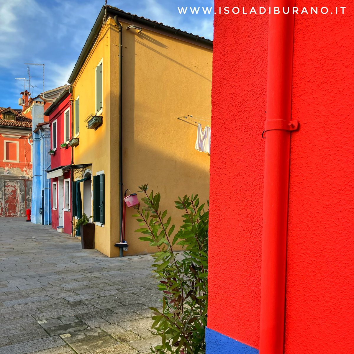 isoladiburano's tweet photo. È venerdì! Risvegliamo qualche angolo colorato nella nostra mente.

👉 https://t.co/Alu3w3eskG

#burano #isoladiburano #buranoisland #buranoitaly #buranocolors #venerdi #friday #fridaynight #colore #colores #colour #color #colorful #angolo #corner #cornerofmyhome https://t.co/XorxSVwWxv