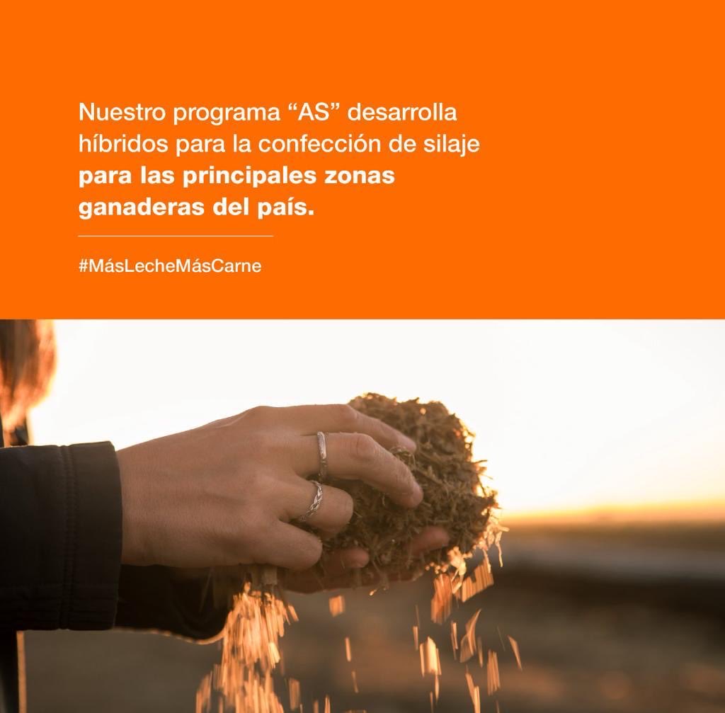 Procampo Uruguay tweet media