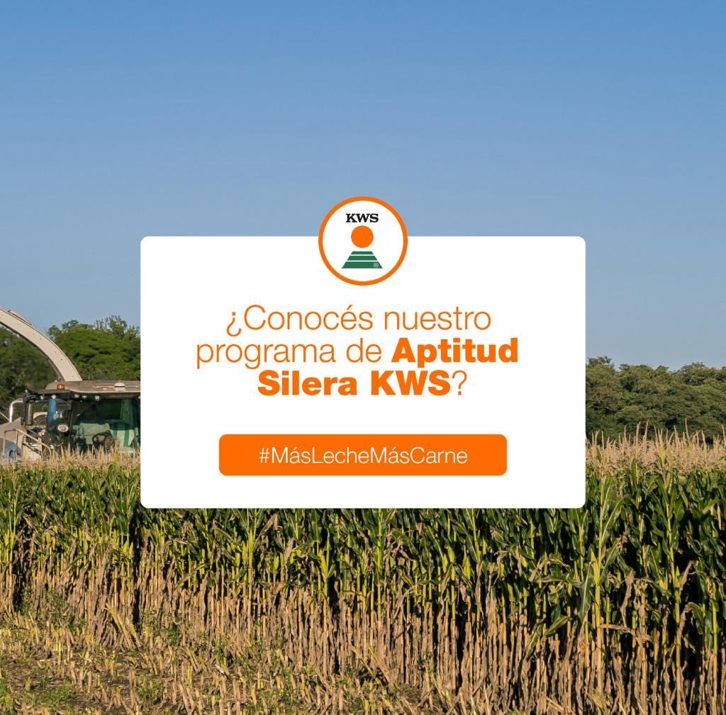 Procampo Uruguay tweet media