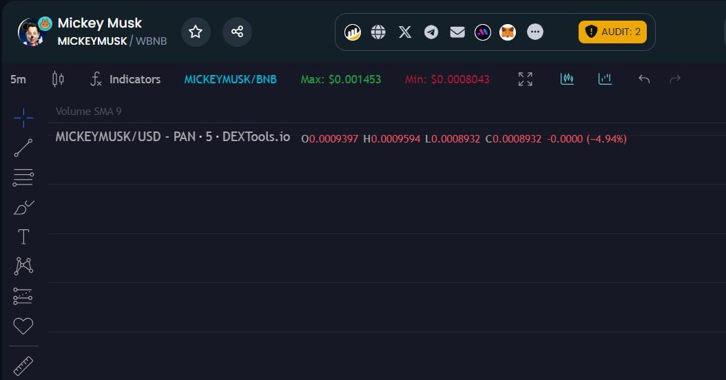 Dextools socials has been updated, And some more big things on the way, Unfold soon

dextools.io/app/en/bnb/pai…