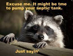 🦝 'Our furry friend has a point! Time to pump that tank again, just sayin'! 🚽🌟
 #PriorityPumping #WeDoEpicShit #SepticSolutions #MaintenanceMatters 🦝 #SepticTankPumping #septicservicegilbertaz