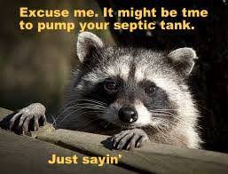 HomeFieldEV's tweet image. 🦝 &quot;Our furry friend has a point! Time to pump that tank again, just sayin&apos;! 🚽🌟
 #PriorityPumping #WeDoEpicShit #SepticSolutions #MaintenanceMatters 🦝 #SepticTankPumping #septicservicegilbertaz