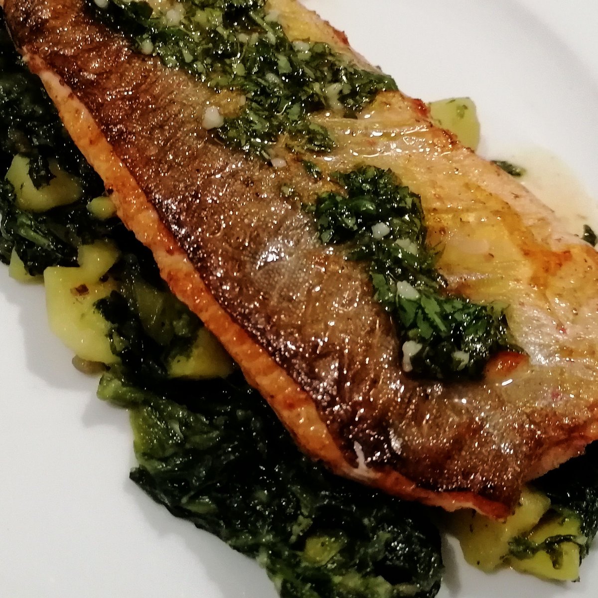 MikeKocht's tweet photo. #Fisch #Twooking mit Erinnerungen an #Kroatien
Serviert auf #Blitva heute #Seesaibling, frisch aus heimischen Gewässern
Dazu gehört das Olivenöl mit Knoblauch, Petersilie und Zitrone

https://t.co/XPQjzI56hC https://t.co/PyUnFraaUP