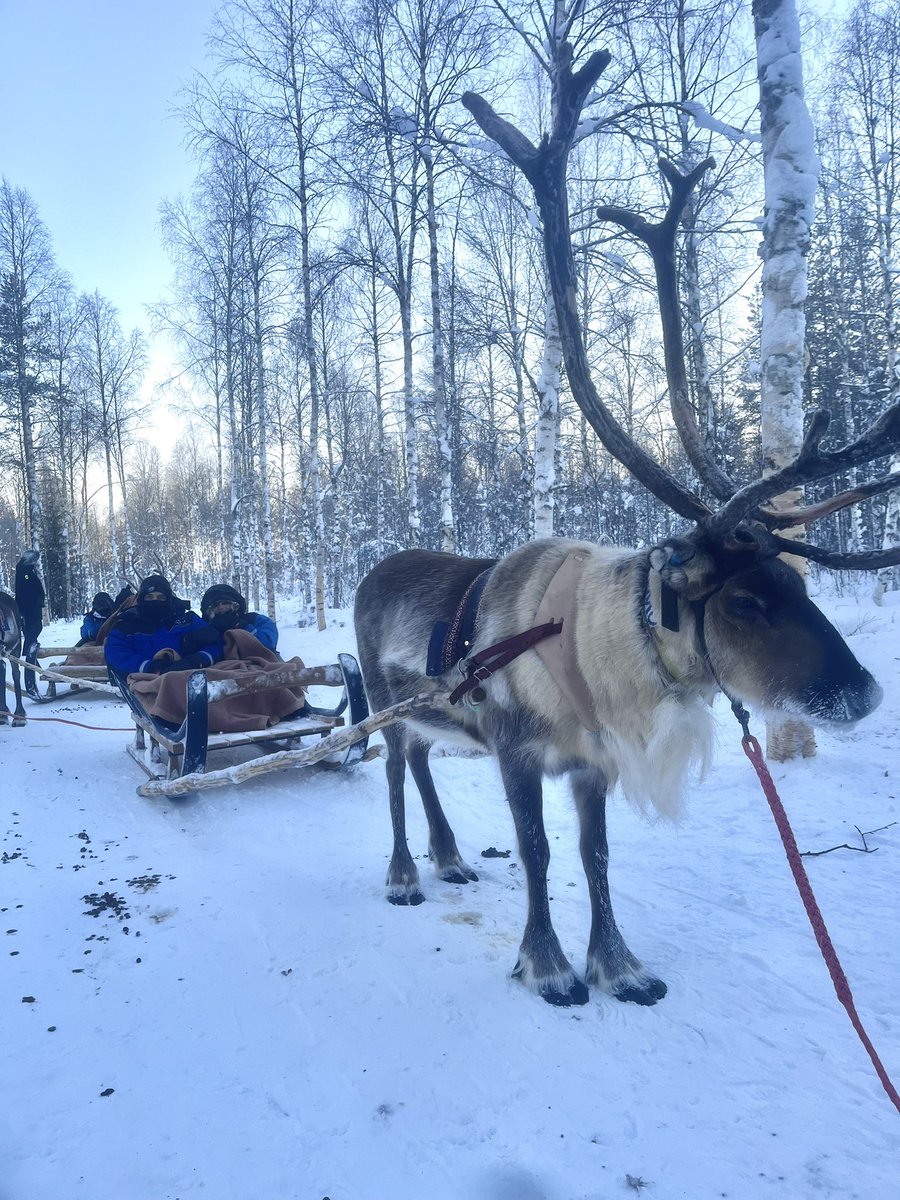 Today we were mostly being dragged by a reindeer. Temp down to minus 23 now.