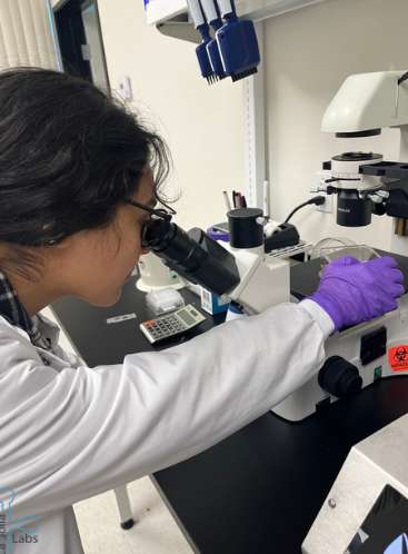 lajollalabs's tweet photo. Today in the lab: Working on a BJAB assay

#sciencework #BJAB #assay #cellwork #scientist #inthelab #lajollalabs #LJL https://t.co/UE53nP7m3Q