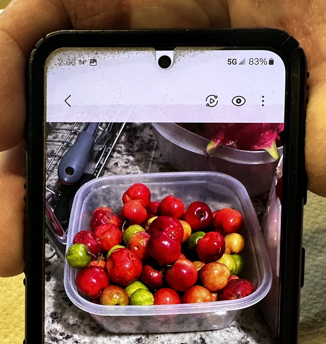 Norman Beatty tweet media