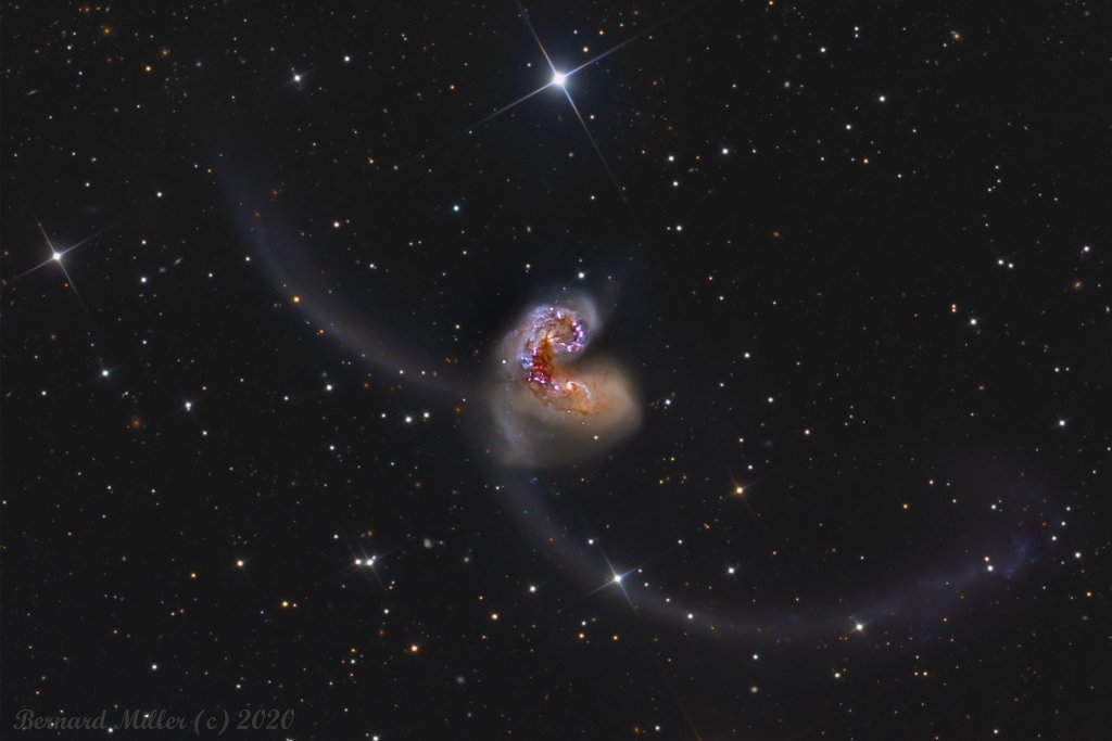 SaadInCyber's tweet image. The Antennae Galaxies (NGC 4038/4039), 60 million light-years away in Corvus, showcase a colossal collision, with intergalactic gas and dust inducing prolific star formation and tidal forces sculpting arcing structures.
Source:APOD NASA
#Galaxies #SpaceCollision #NASA #SpaceX