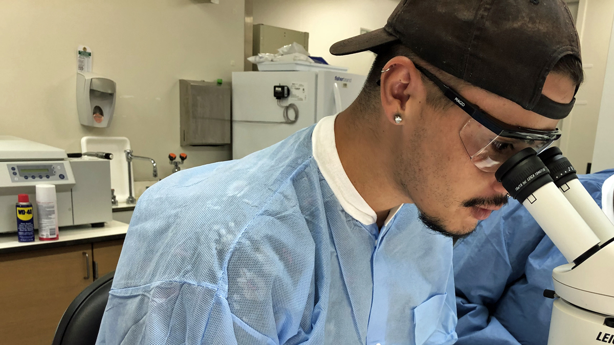 CDC_NCEZID's tweet photo. Looking for a #PublicHealth internship/fellowship? Are you a student or #RecentGrad of a minority serving institution? Apply to the 2024 Public Health #Entomology for All program by Feb 15.

Learn more about this paid opportunity:
https://t.co/kr5r73cdaY https://t.co/sgeTiOKaYh