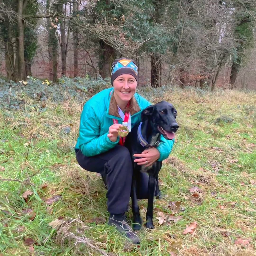 CSJ Dog Food tweet media