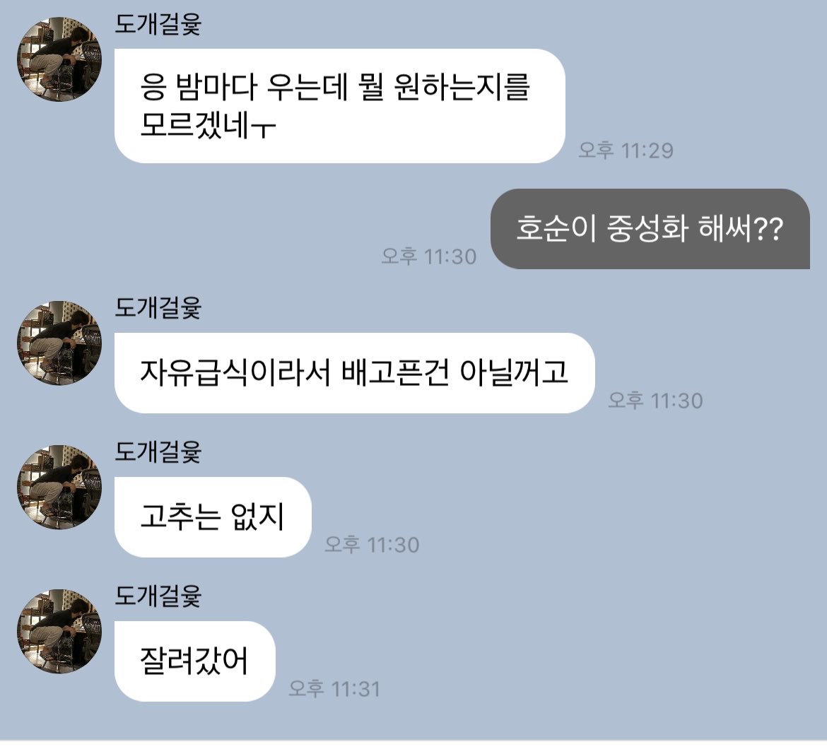 아 개황당버블1위