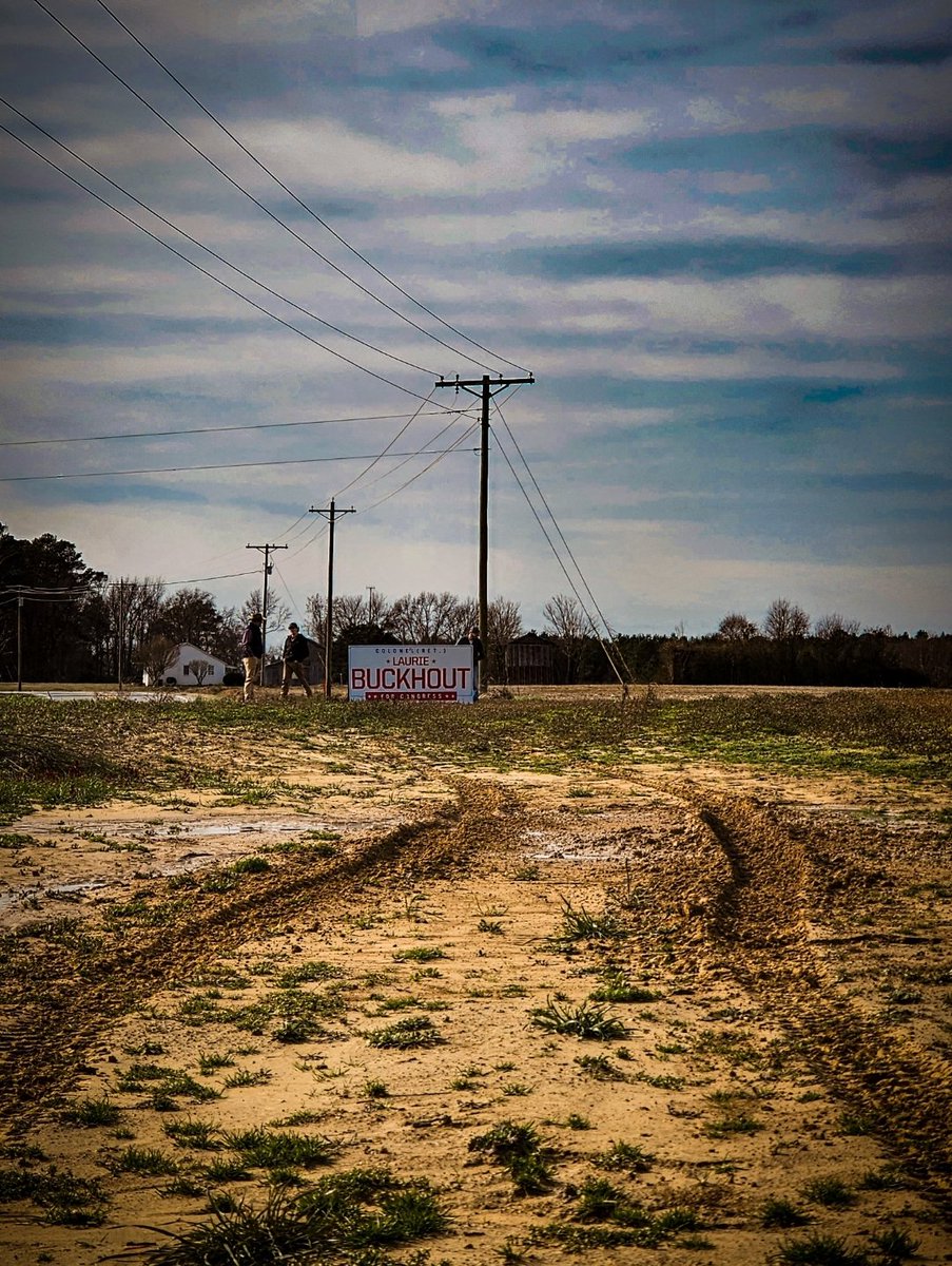 GovGate's tweet photo. Enjoying the serene beauty of a North Carolina farm – the rustling leaves, wide-open spaces, and the sweet scent of nature. There's a unique charm in the simplicity of farm life that warms the heart. Grateful for moments like these #NC01 #LaurieBuckhoutForCongress @lauriebuckhout https://t.co/7Cvtk5PRWb