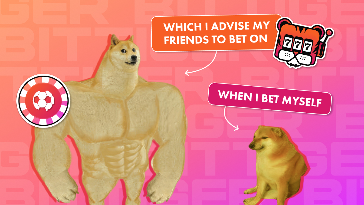 bittiger_io's tweet photo. It's a classic

#BITTIGER https://t.co/LFhiEncOxN