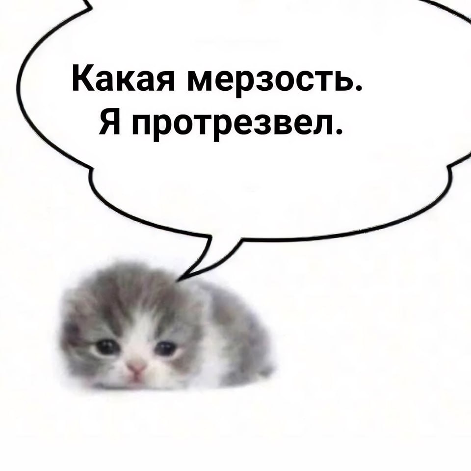 gotfraon's tweet photo. https://t.co/73j4IhIyKG
