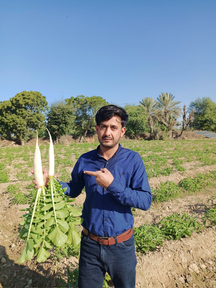 In the 2023 Global Hunger Index, Pakistan ranks 102nd out of the 125 countries with sufficient data to calculate 2023 GHI scores. With a score of 26.6 in the 2023 Global Hunger Index, Pakistan has a level of hunger that is serious.
<a href="/UNEP/">UN Environment Programme</a> <a href="/WFP/">World Food Programme</a> <a href="/WFPPakistan/">WFP Pakistan</a>