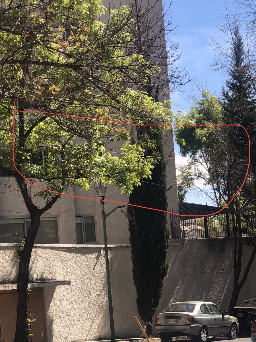 Desahue82's tweet photo. @izzi_mx es increible la poca capacitación a su gente y la cantidad de normas ambientales infringidas! instalan de forma aerea DONDE NO SE PUEDE, COLGANDO LAS LINEAS DE LOS ARBOLES @SEDEMA_CDMX  exigimos el retiro de dichas lineas Fuentes del pedregal @VecinosFP @TlalpanAl https://t.co/qgMxWaPpEd