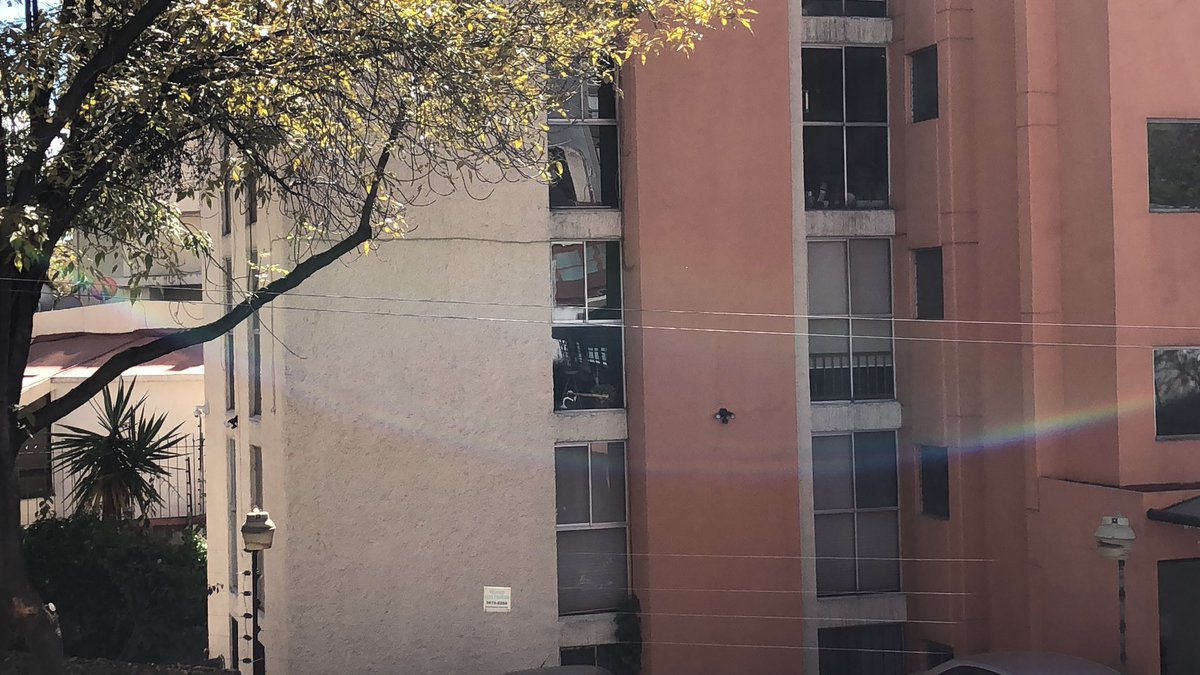 Desahue82's tweet photo. @izzi_mx es increible la poca capacitación a su gente y la cantidad de normas ambientales infringidas! instalan de forma aerea DONDE NO SE PUEDE, COLGANDO LAS LINEAS DE LOS ARBOLES @SEDEMA_CDMX  exigimos el retiro de dichas lineas Fuentes del pedregal @VecinosFP @TlalpanAl https://t.co/qgMxWaPpEd