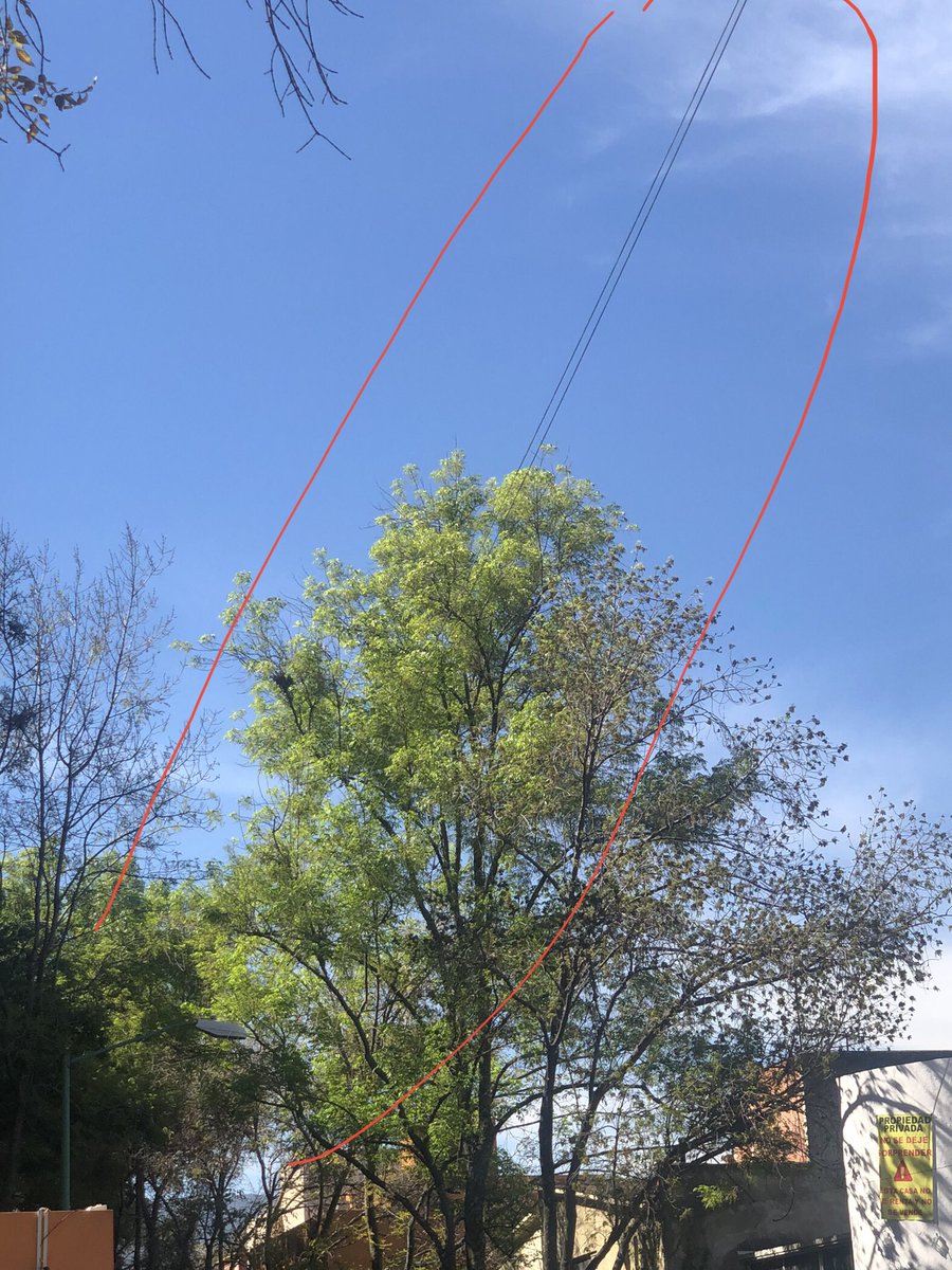 Desahue82's tweet photo. @izzi_mx es increible la poca capacitación a su gente y la cantidad de normas ambientales infringidas! instalan de forma aerea DONDE NO SE PUEDE, COLGANDO LAS LINEAS DE LOS ARBOLES @SEDEMA_CDMX  exigimos el retiro de dichas lineas Fuentes del pedregal @VecinosFP @TlalpanAl https://t.co/qgMxWaPpEd