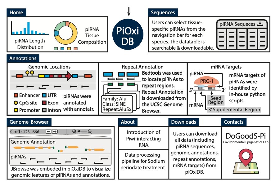 We are excited to disseminate our new piOxi database, a free web resource for germline &amp; somatic tissue piRNAs identified by chemical oxidation. The database can help facilitate #ToxicoEpigenetic investigation of #piRNA &amp; DNA methylation alterations pioxidb.dcmb.med.umich.edu