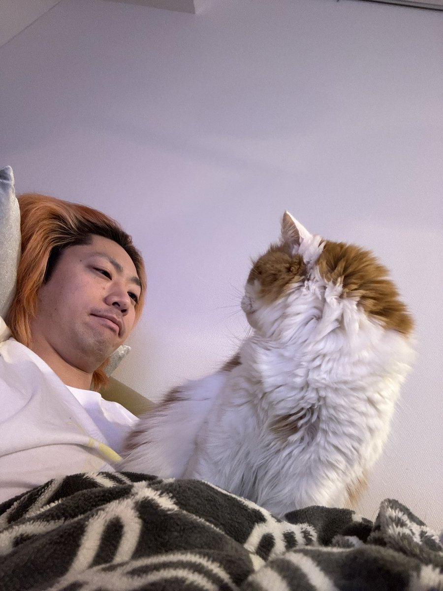 TO_TETSUYA's tweet image. 15時〜ライブ鑑賞(現地)
19時〜ライブ鑑賞(配信)
21時〜セトリのMV鑑賞(復習)
25時〜フジテレビ生放送鑑賞(見守り)

😾「おめえはたらけ」