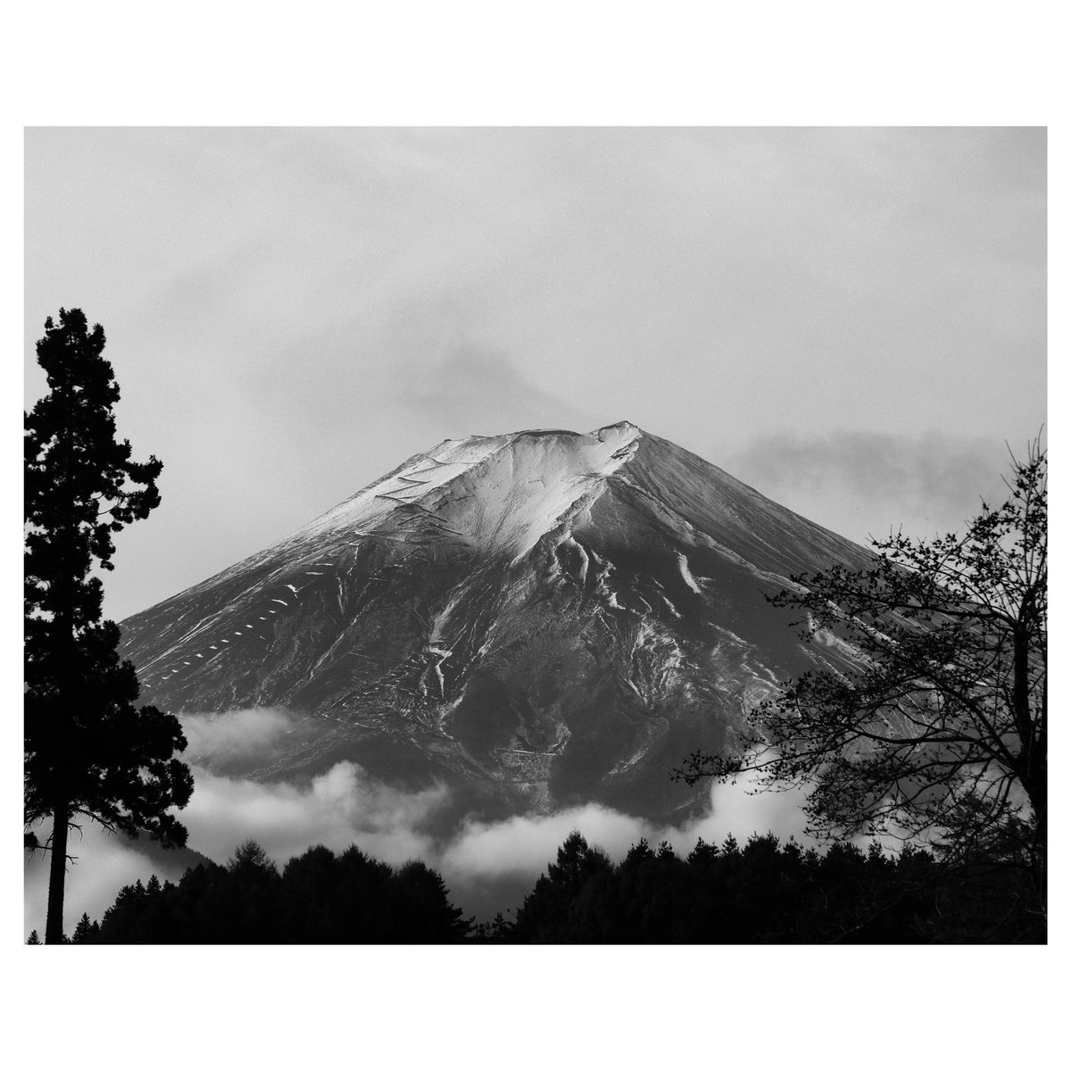 Fuji Friday

----------------------

#fujifilm #fujifilmxpro1 #photography #houstonphotographer #texasphptographer #japan #japanphptpgraphy #japantrip #japantravel #mtfuji #fujisan #fujifujifilm #fujifuji #nature #landscape #stunning #unforgettable #blackandwhite #fujifriday