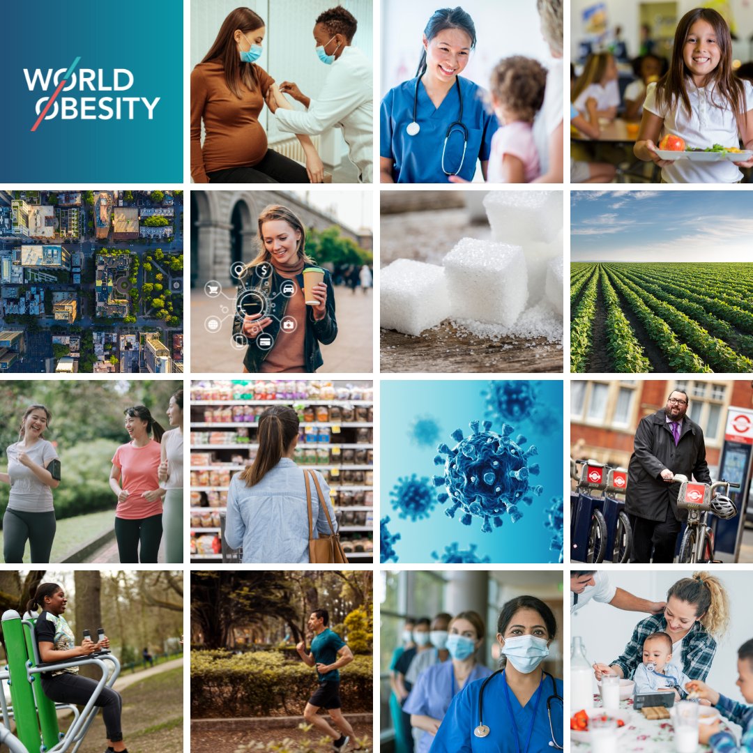 We have policy dossiers covering #SSBTaxes, Digital Marketing, Front of Pack labelling, COVID-19, Food Systems, Physical Activity and much more! Interested in finding out more? 🤔 ➡️ You can find all our policy dossiers here: worldobesity.org/resources/poli…